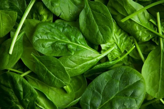 Spinach photo