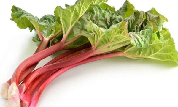 Rhubarb
