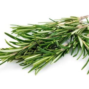 Rosemary leaf