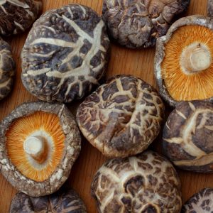 Shiitake mushrooms