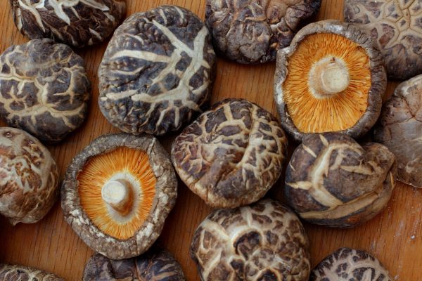 Shiitake mushrooms