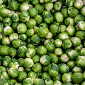 Brussels Sprout