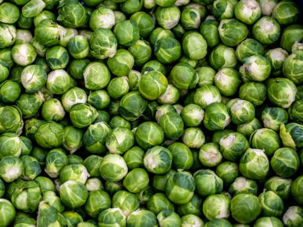 Brussels Sprout