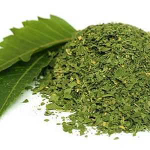 Neem Leaves