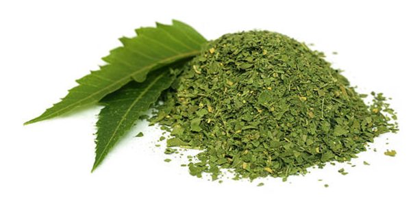 Neem Leaves