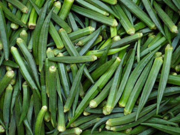 Okra fruit