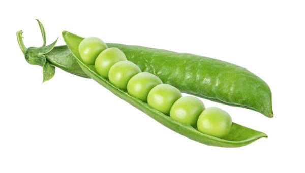 Pea greens