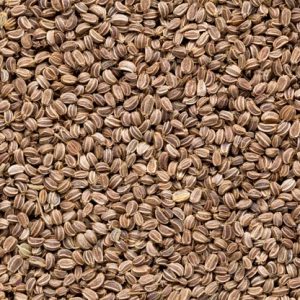 Celery seed