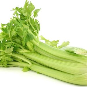 Celery stalk & leaf (Apium graveolens)