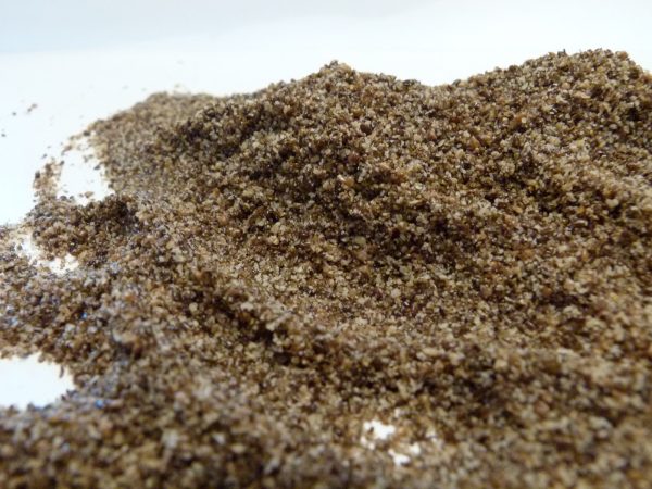 Chia seed
