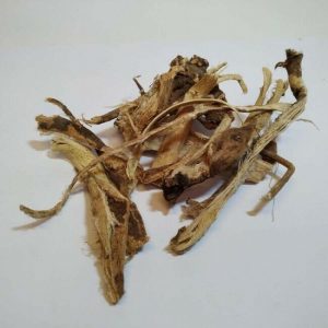 Dandelion Root
