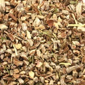 Echinacea angostifolia root