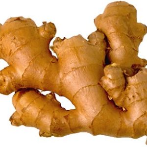 Ginger rhizome