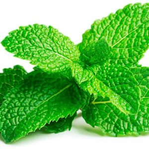 Peppermint