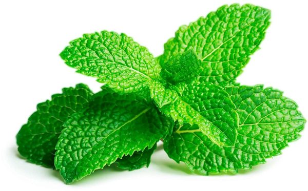 Peppermint