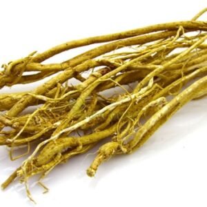 Astragalus Root