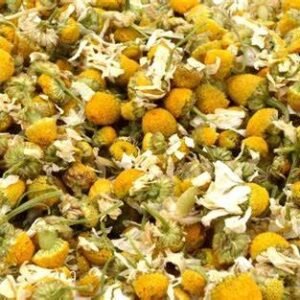 Chamomile flower