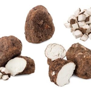 Poria mushroom